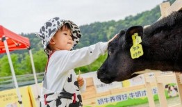 认养一头牛最新爆料,揭秘幕后故事与品牌发展新动向